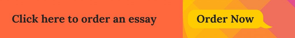 Seven essay writing banner.jpg