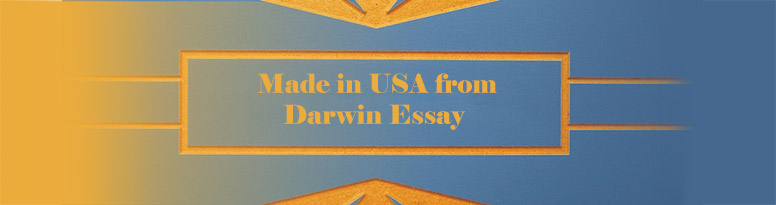 Essay help online chat aol