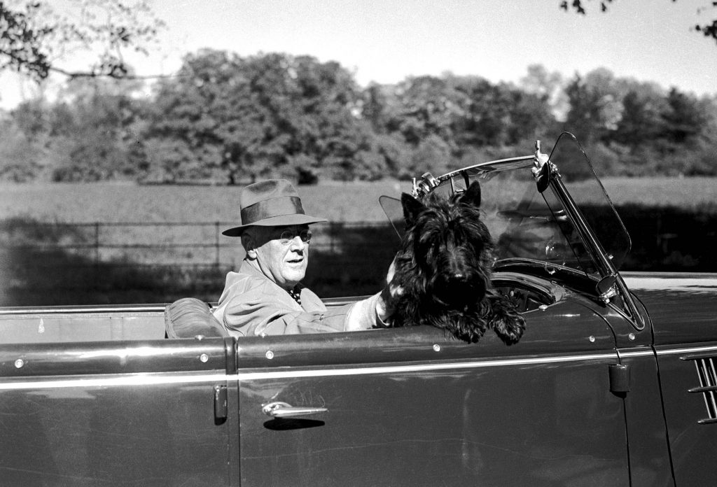 President Roosevelt with His Dog Fala (Copyright Bettmann/Corbis / AP Images)