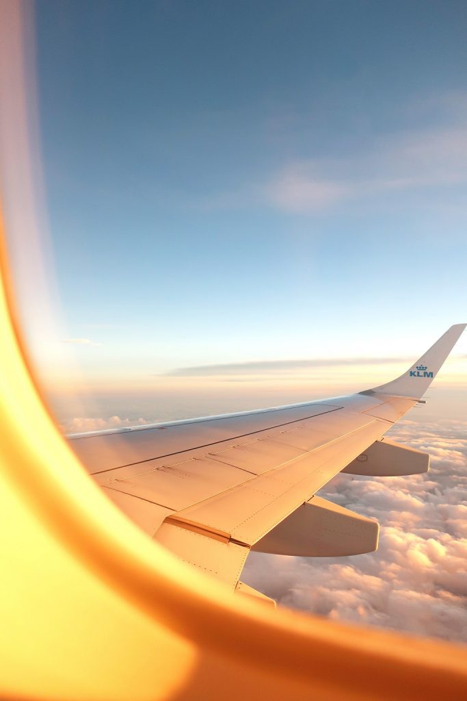 Essays on Essence of Traveling and Addiction to FlyingDarwinEssayNet
